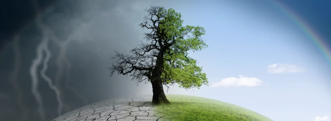 The Effects of Climate Change in Zimbabwe and Southern Africa