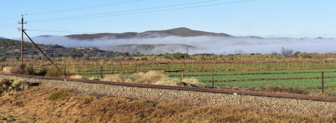 SA's Private Train Operating Companies are Invited to the TRIM Party
