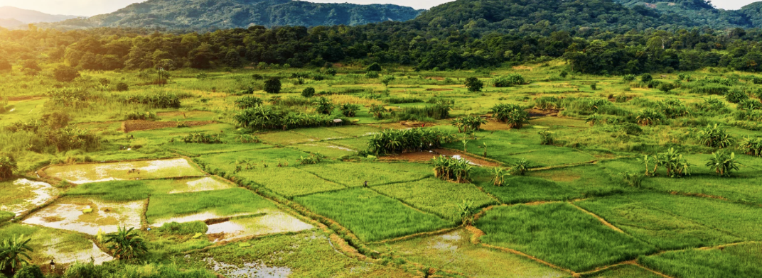 Malawi's New Imports Ban: A Diplomatic Crisis or a Catalyst for Greater Economic Independence?